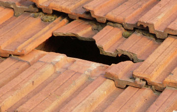 roof repair Warnborough Green, Hampshire